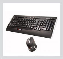 KBD Labtec Laser Wireless Desktop 1200 BG