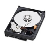HDD Desktop WESTERN DIGITAL WD1002FAEX WESTERN DIGITAL HDD Desktop Caviar Black (3.5'',1TB,64MB,SATA III-600)