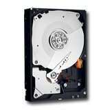 HDD Server WESTERN DIGITAL WD1003FBYX Твърд диск сървърен WESTERN DIGITAL RE4 (3.5", 1TB, 64MB, SATA II-300, %Native Command Queuing (NCQ)WD IntelliSeekWD StableTrac%, 7200 rpm)