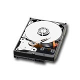 HDD Desktop WESTERN DIGITAL Caviar Green Твърд диск настолен WESTERN DIGITAL Caviar Green (3.5", 1TB, 64MB, SATA III-600)