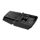 Input Devices - Keyboard Box RAZER RZ03-00260100-R3M1 Клавиатура RAZER Arctosa USB, С опаковка, 1-pk
