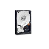 HDD Server WESTERN DIGITAL WD2003FYYS Твърд диск сървърен WESTERN DIGITAL RE4 (3.5", 2TB, 64MB, SATA II-300, 7200 rpm)