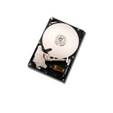 HDD Server HITACHI GST Ultrastar A7K2000 Твърд диск сървърен HITACHI GST Ultrastar A7K2000 (3.5", 500GB, 32MB, SATA II-300, 7200 rpm)